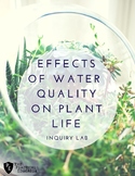 Effects of Water Quality on Plant Life