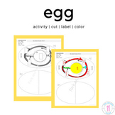 Egg Cut, Color And Label Activity 