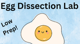 Egg Dissection Lab