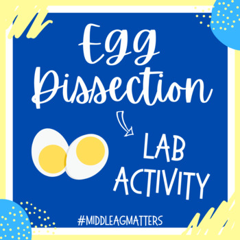 Preview of Egg Dissection Lab Activity