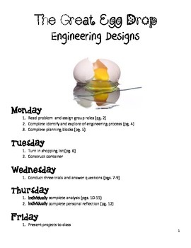 Preview of Egg Drop Engineering Process