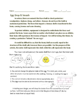 Preview of Egg Drop Project with Grading Rubric