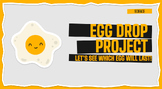 Egg Drop Project! (EDITABLE)