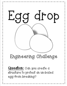 Preview of Egg Drop STEM