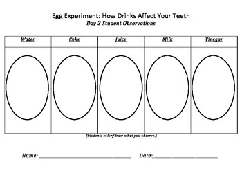 Egg Experiment: How Drinks Affect Your Teeth by Alyson Mendez | TpT