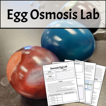 Preview of Egg Osmosis Lab (Cell Membrane, Osmosis, Homeostasis, Isotonic, etc.)