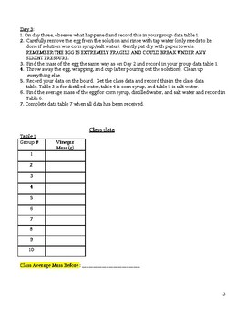 Egg Osmosis Lab Report By Alyse S Science Shop Tpt