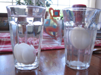 Preview of Egg, Salt and Water Trick (OBJECT LESSON)