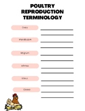 Egg and Chicken Reproduction Terminology