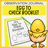 Egg to Chick Booklet Chick Hatching Observation Journal