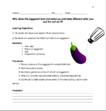 Eggplant Osmosis Lab Lesson Plan & Worksheet (NGSS)
