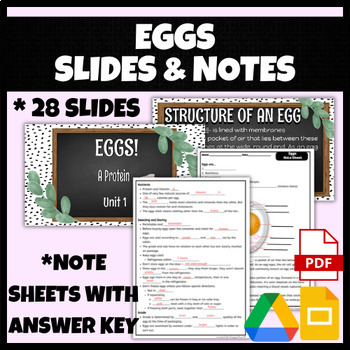Preview of Eggs Slides and Note Sheets | FCS, FACS, Cooking