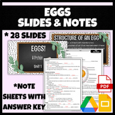 Eggs Slides and Note Sheets | FCS, FACS, Cooking