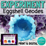 Eggshell Geode Crystal Growing Minerals Experiment PRINT a