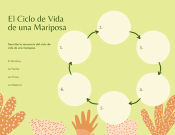 Preview of El Ciclo de Vida de la Mariposa