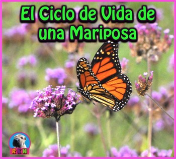 Preview of El Ciclo de Vida de una Mariposa: Presentación en PowerPoint