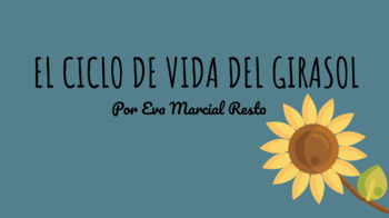 Preview of El Ciclo de Vida del Girasol (Google Slide, Remote Learning Resource)