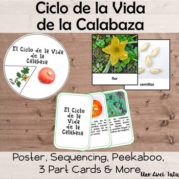 Preview of El Ciclo de la Vida de la Calabaza - Montessori Pumpkin Life Cycle Pack Spanish