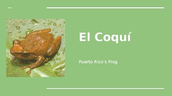 dibujos para imprimir el coqui puerto rico