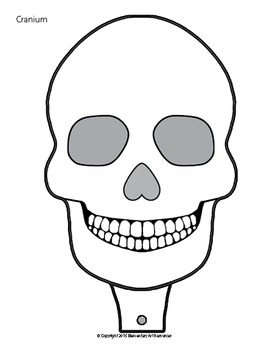 Full Size Life Cutout Skeleton Halloween - Day of the Dead - Elementary