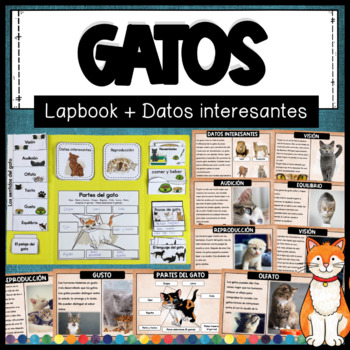 Preview of El GATO - Lapbook y fichas con datos interesantes