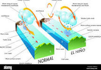 Preview of El Nino Southern Oscillation (ENSO)