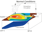 El Nino and Coriolis Remote Activity