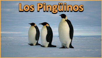El Pingüino - Presentación en PowerPoint y Actividades by Ryan Nygren - RKN