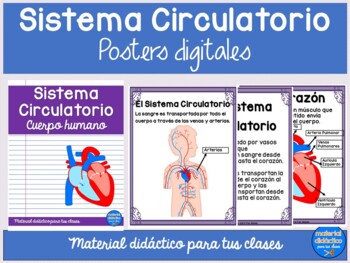 Preview of El Sistema Circulatorio Digital- PowerPoint- ciencias naturales- Spanish