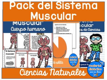 Preview of Sistema Muscular, cuerpo humano- actividades, posters y juegos- Spanish