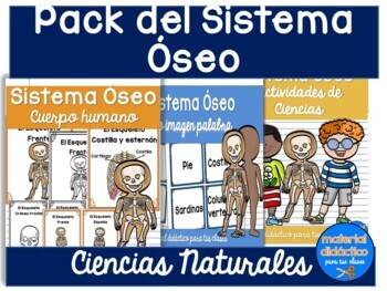 Preview of El Sistema Óseo | Actividades- Posters- Juegos |Spanish Resources