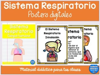 Preview of El Sistema Respiratorio Digital- PowerPoint-Ciencias- Spanish Respiratory system