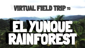 Preview of El Yunque Rainforest Virtual Field Trip:  Puerto Rico geography & social studies