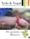 El ajolote - Bundle