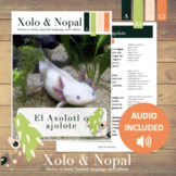 El ajolote o Axoltl - Spanish reading comprehension story