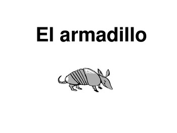 Preview of El armadillo