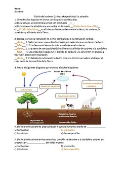 Actividad  Cartel del Ciclo del Carbono