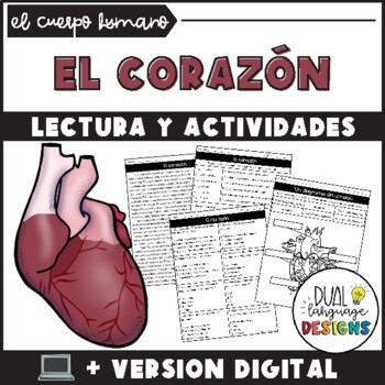 Preview of Circulatory System Spanish - The Heart Reading Passage | El corazón