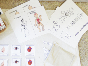 Preview of Montessori El cuerpo humano - The human body