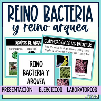 Preview of El reino bacteria y el reino arquea - Bacteria & Archaea Kingdom in Spanish