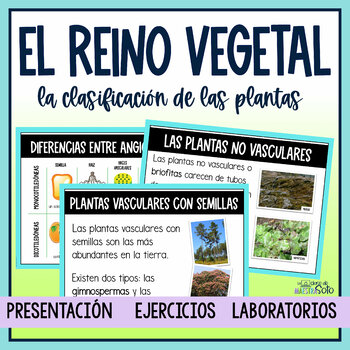 Preview of El reino vegetal y la clasificación de las plantas - Plant Kingdom in Spanish