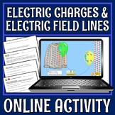 Static Electricity Electric Charges and Field Lines Activi