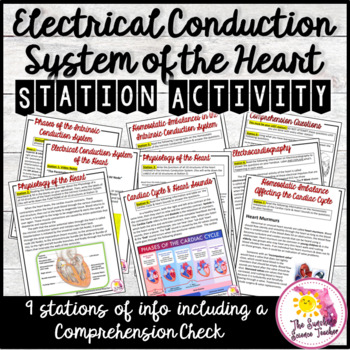 Preview of Electrical Conduction System of the Heart Stations Activity | NO PREP