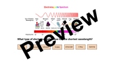 Electromagnetic Spectrum Review/Practice Digital, Self-Checking