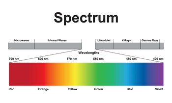 Preview of Electromagnetic Waves Spectrum. The Light Spectrum.