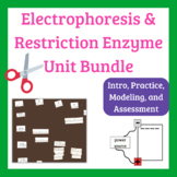 Electrophoresis Unit Bundle