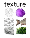 Element of Art Poster: Texture (Early Childhood)