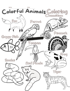 Elementary Animal Coloring - Diverse Animals by Decolonize Academy