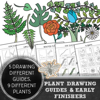 Preview of Elementary Art, Middle School Art Plant Drawing Guides & Early Finisher Activity