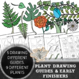 Elementary Art, Middle School Art Plant Drawing Guides & E